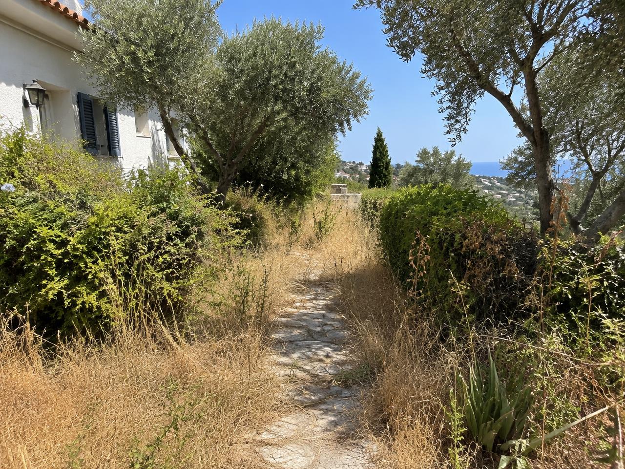 Garden restoration — Before